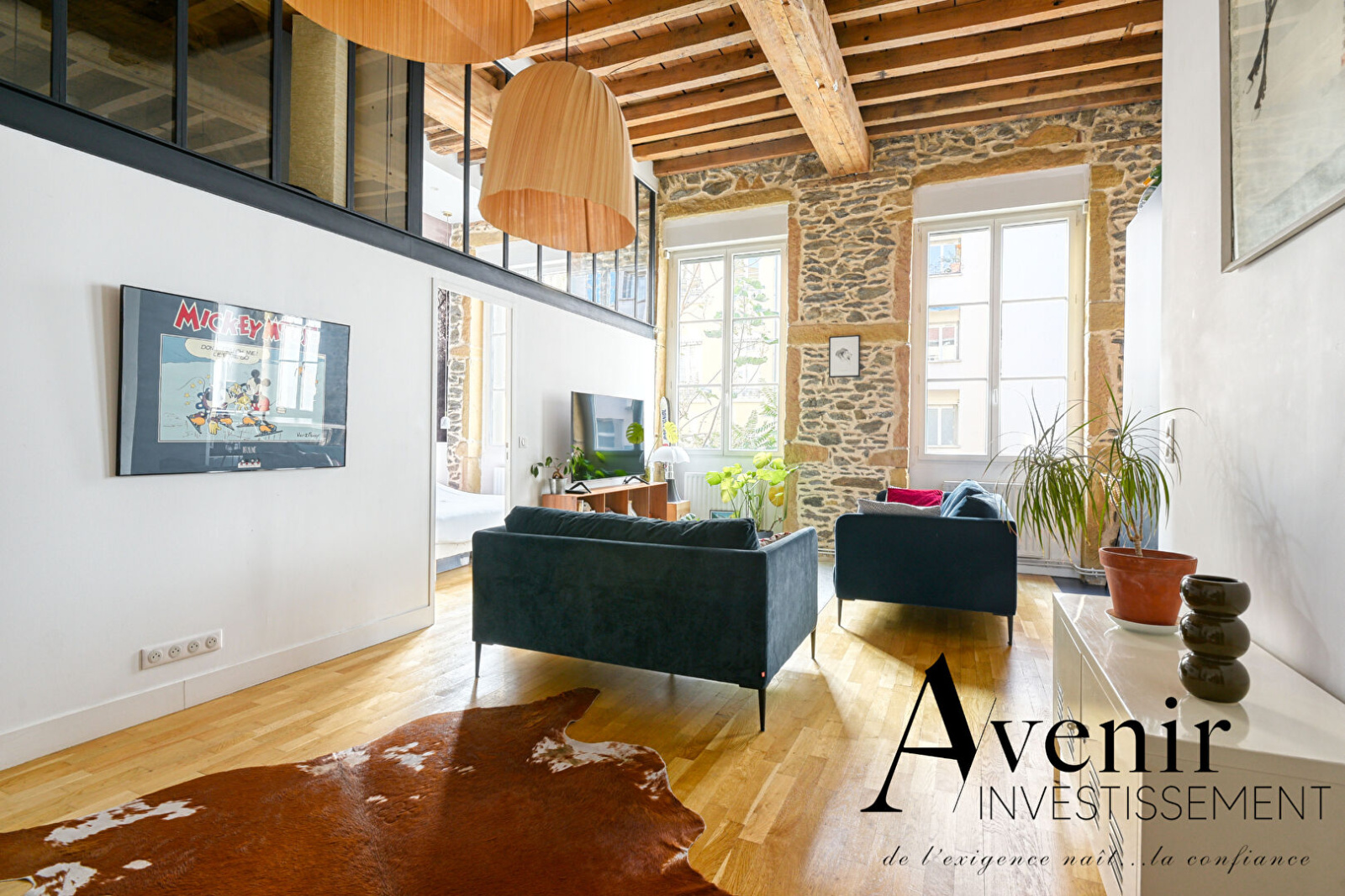 Image_3, Appartement, Lyon, ref :JN4030