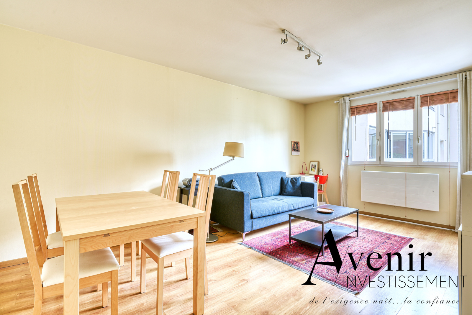 Image_1, Appartement, Villeurbanne, ref :JN3505G