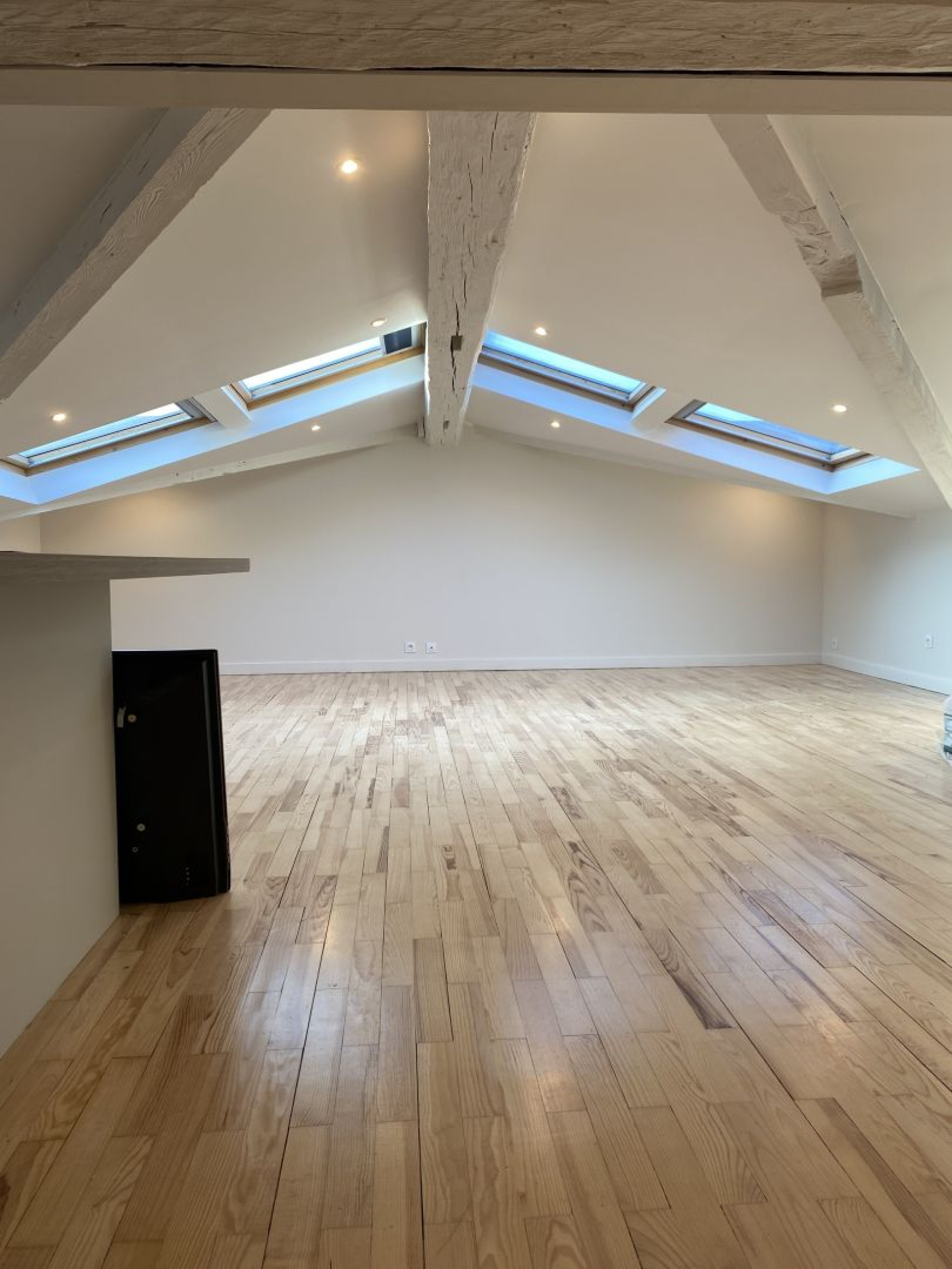 Image_3, Appartement, Caluire-et-Cuire, ref :3311