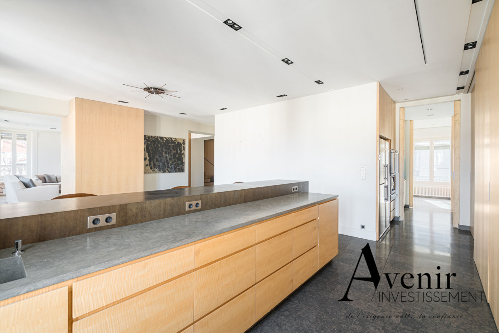 Image_4, Appartement, Lyon, ref :JN3663I