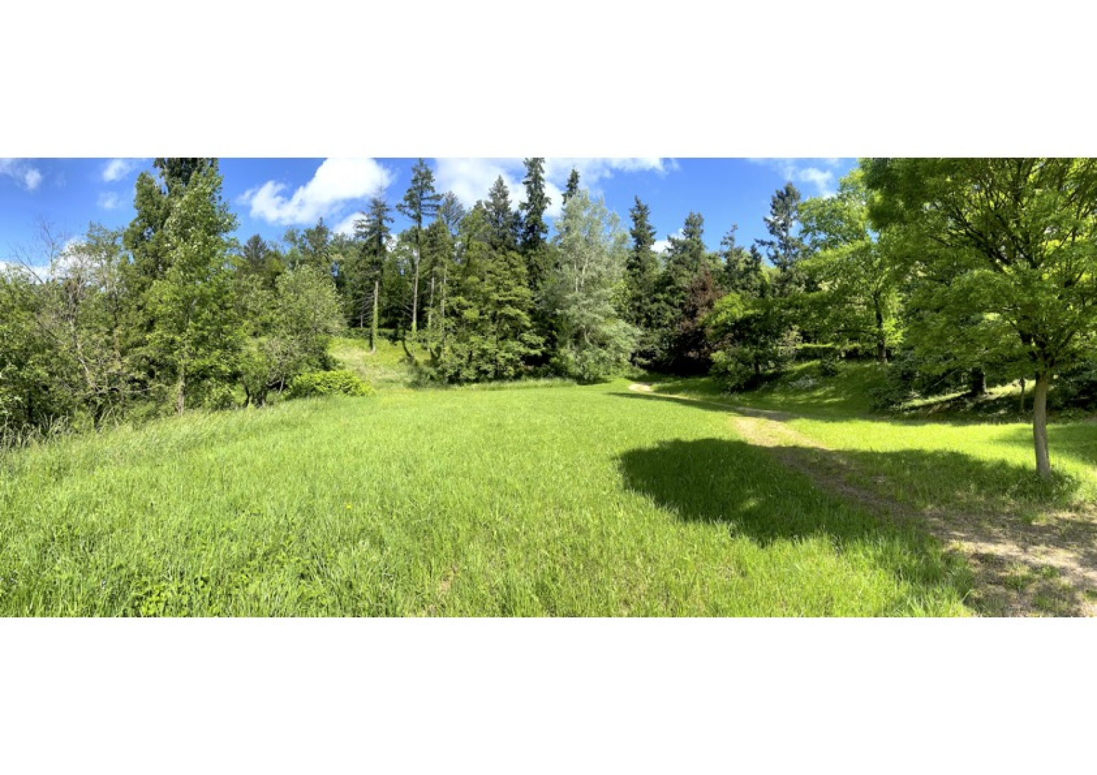 Image_5, Terrain, Limonest, ref :3911 AG
