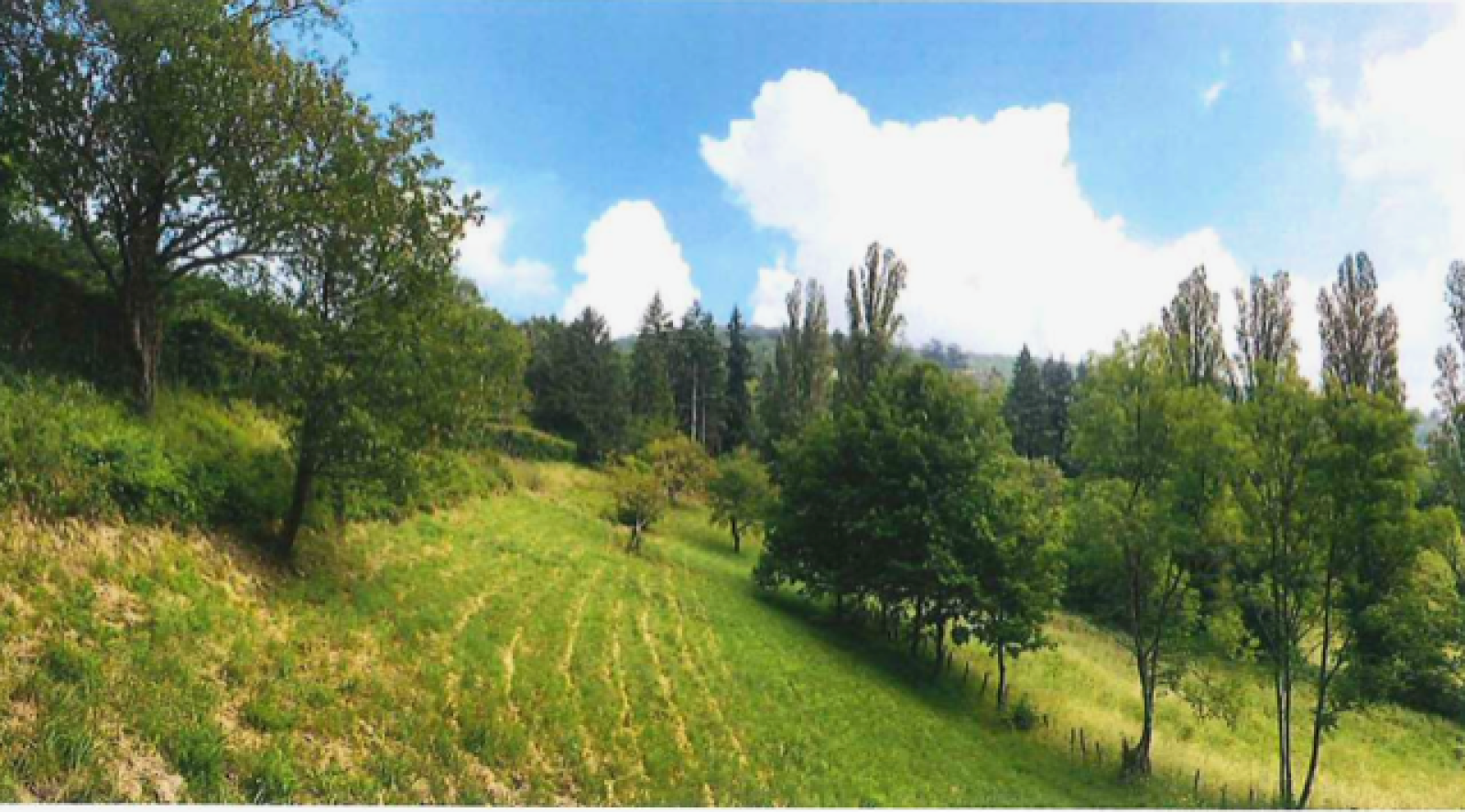 Image_3, Terrain, Limonest, ref :3911 AG