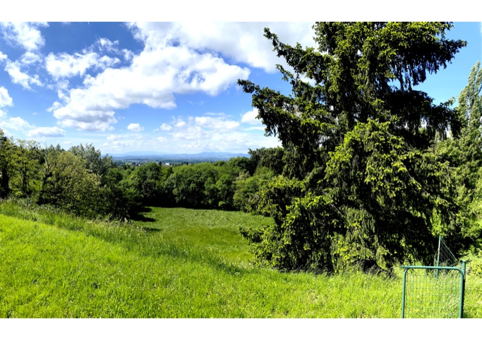 Image_2, Terrain, Limonest, ref :3911 AG