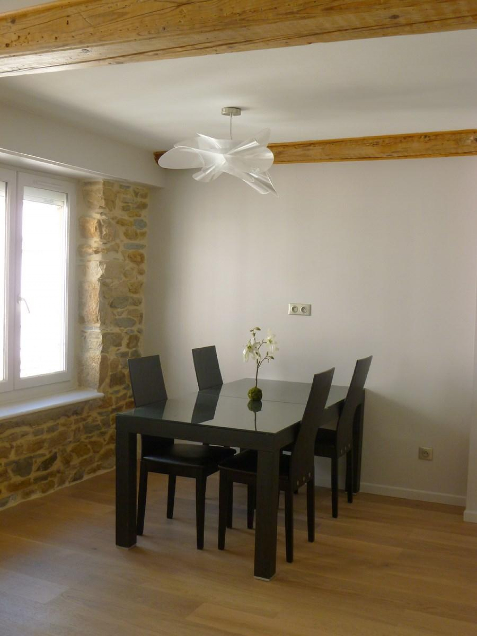 Image_3, Appartement, Lyon, ref :LAP10000169