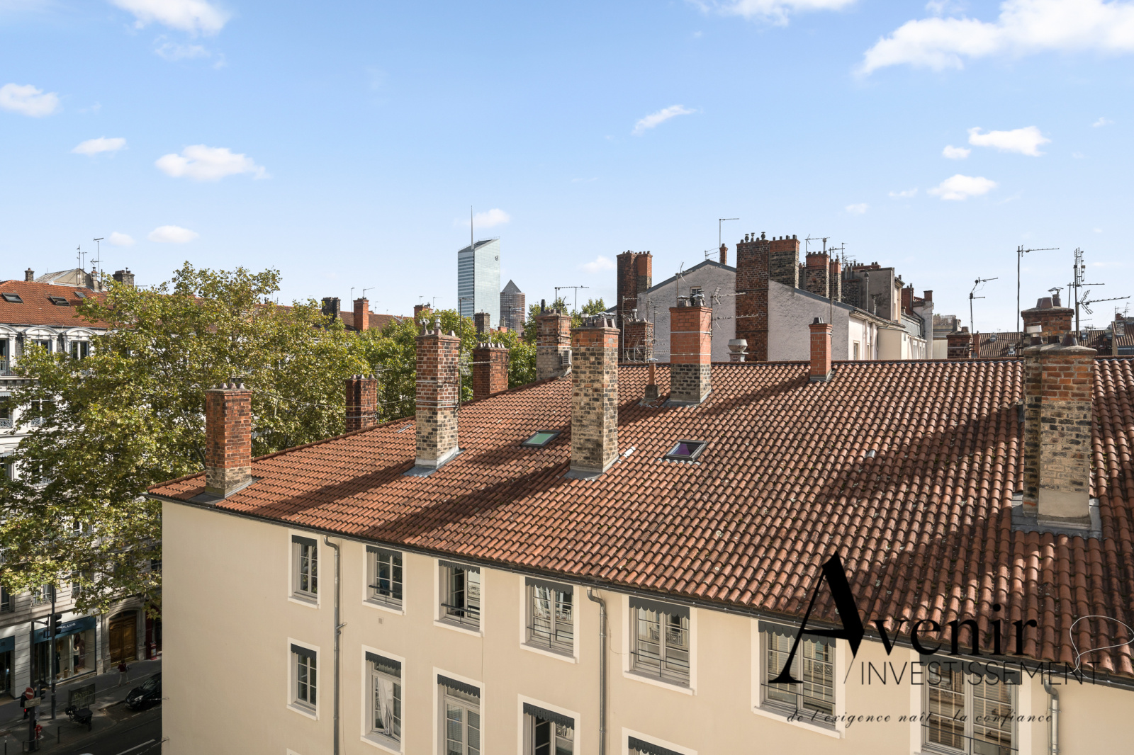 Image_1, Appartement, Lyon, ref :DS_3204