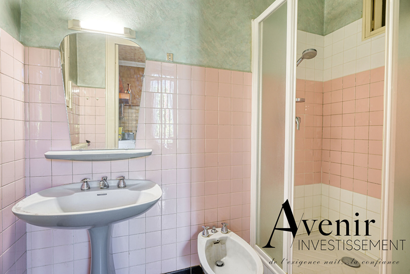 Image_12, Maison, Sainte Foy lès Lyon, ref :3983JP-1