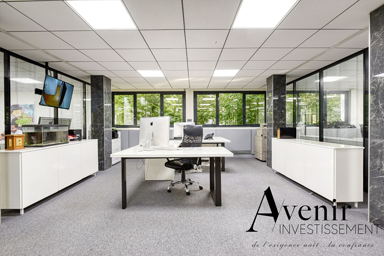 Image_4, Bureaux, Villeurbanne, ref :AGE4003-4