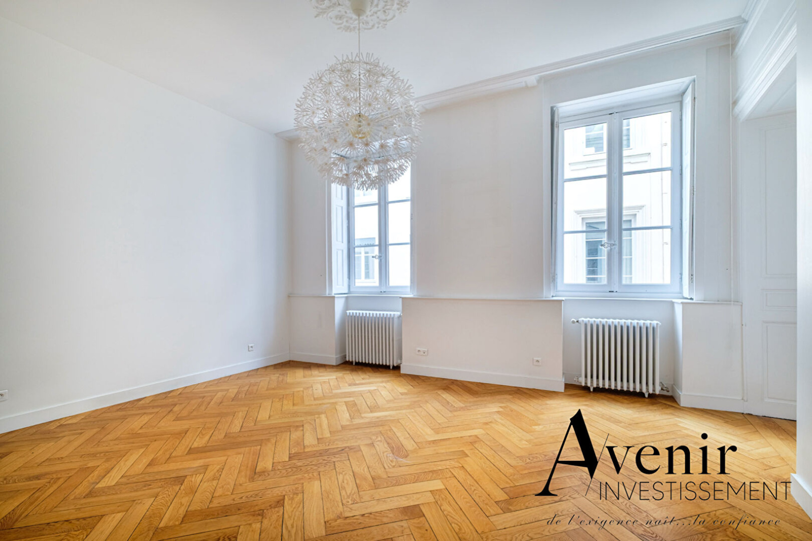 Image_3, Appartement, Lyon, ref :DS.3952