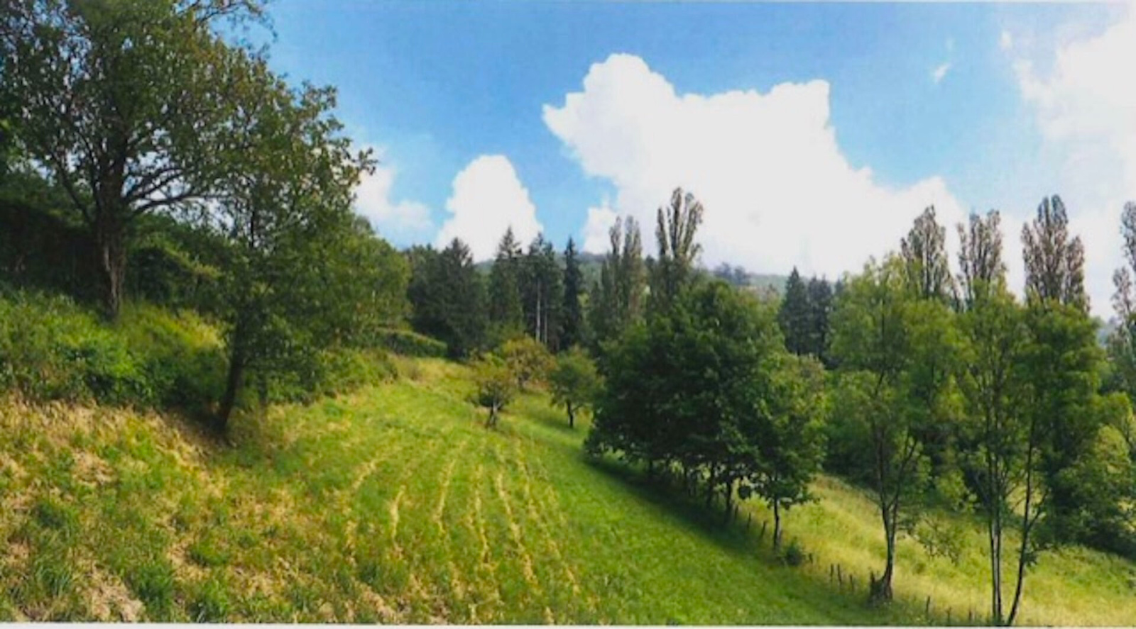 Image_3, Terrain, Limonest, ref :3911AG