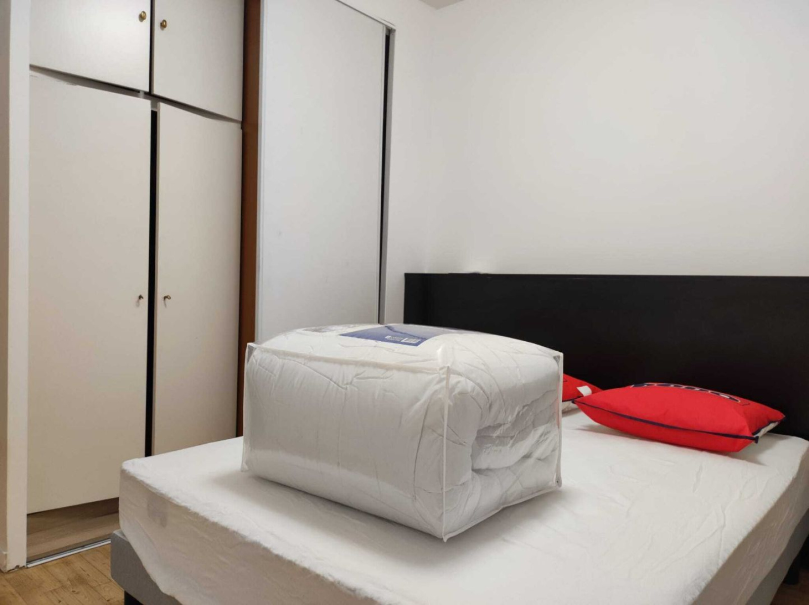 Image_8, Appartement, Lyon, ref :MONCHATLOC