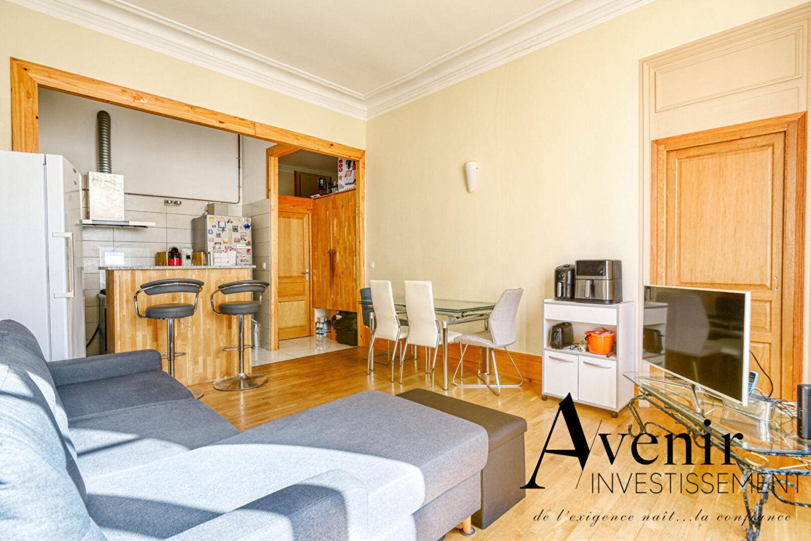 Image_1, Appartement, Lyon, ref :DS4008